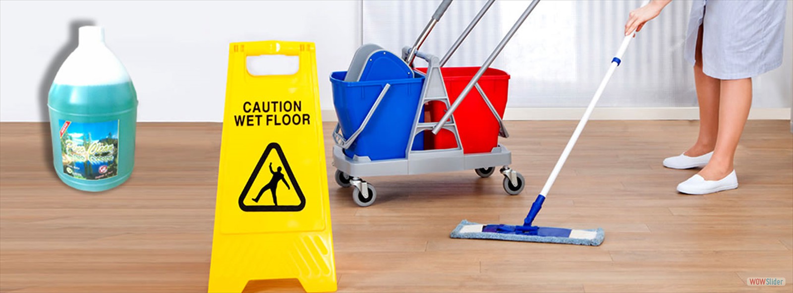 LIMPIEZA DEL HOGAR LIMPIEZA DEL HOGAR